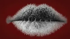 Test de personnalité : la première chose que vous voyez révèle si vous êtes introverti, extraverti ou ambivert